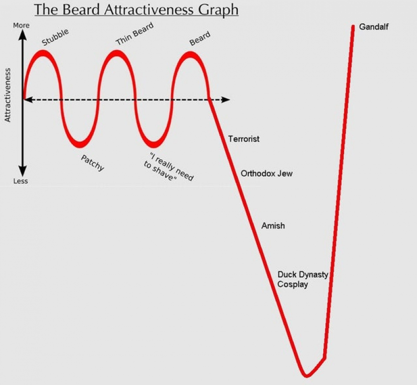 Beard Attractiveness Graph.