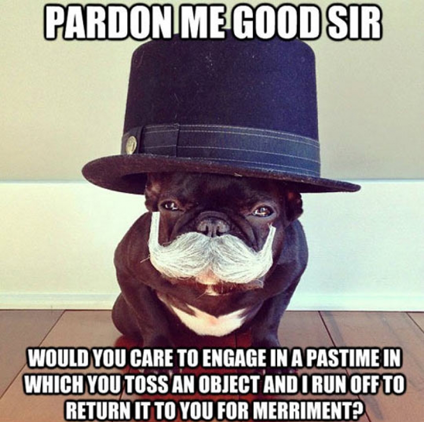 Hello Good Sir
