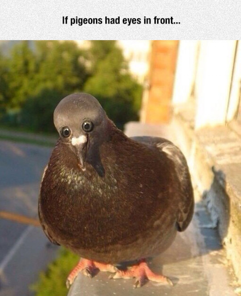 This Makes Me A Little Uncomfortable