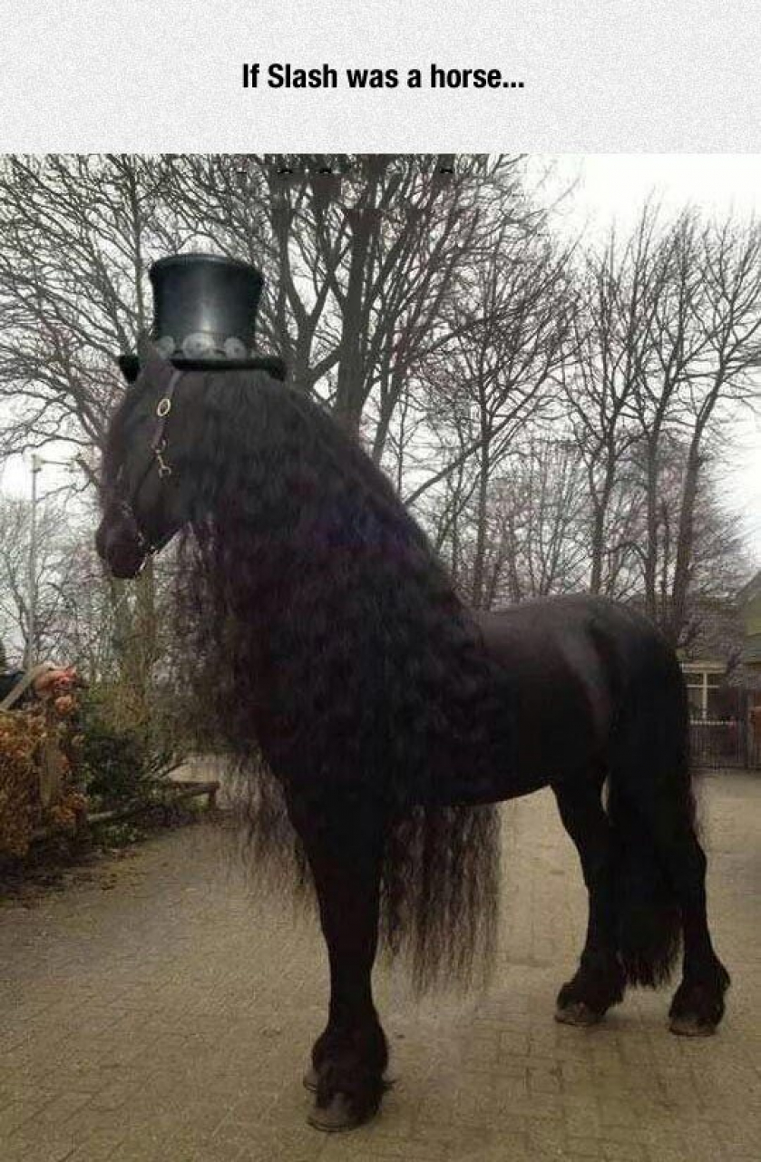 Guns N’ Horses