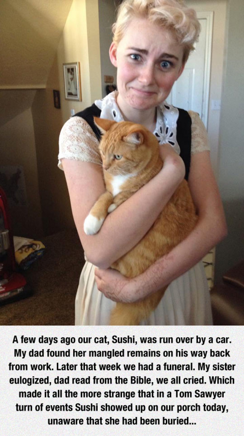 But Whose Cat Did We Bury Then?