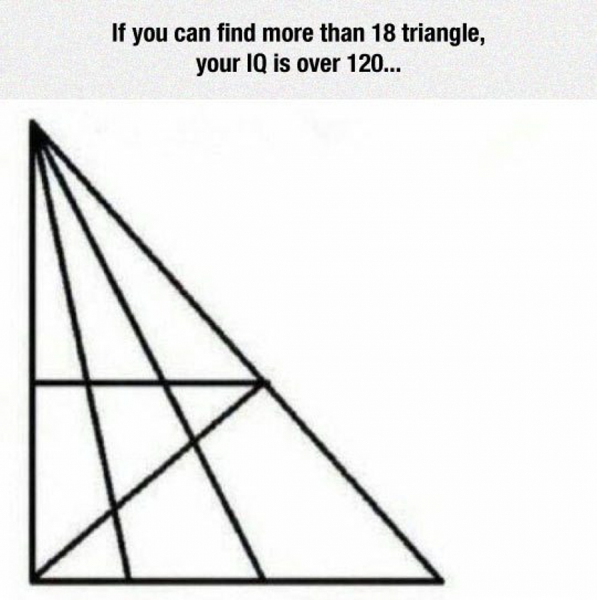 Try To Find Them All