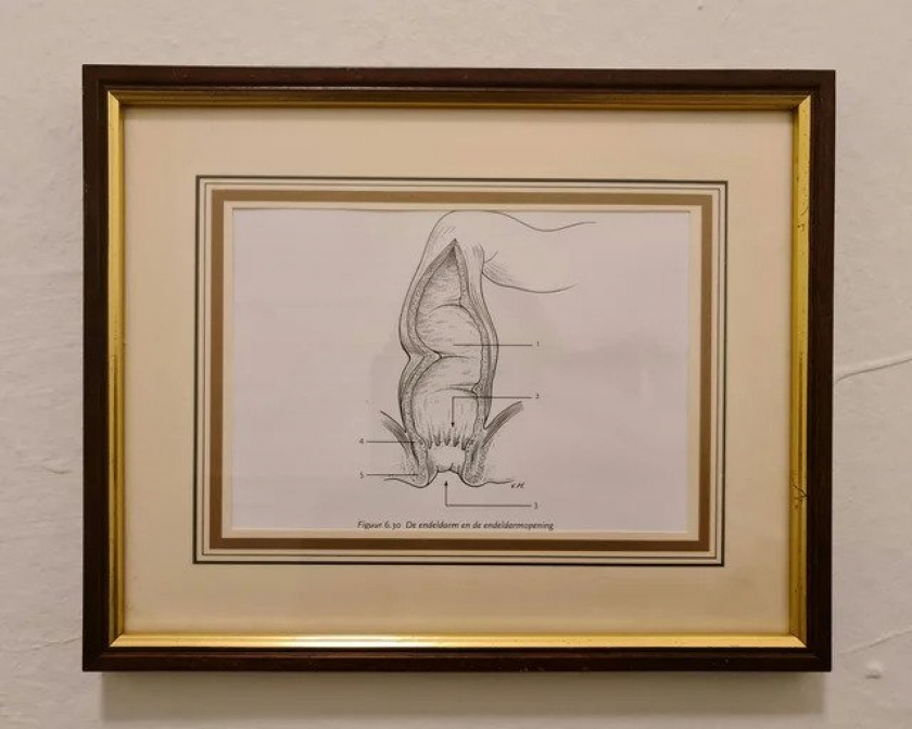 my boyfriend asked me to find art to hang above the toilet
