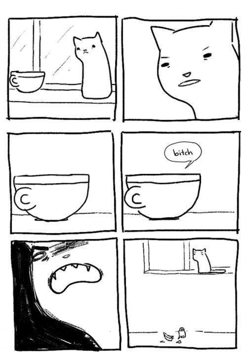                          Cat logic finally understood                      