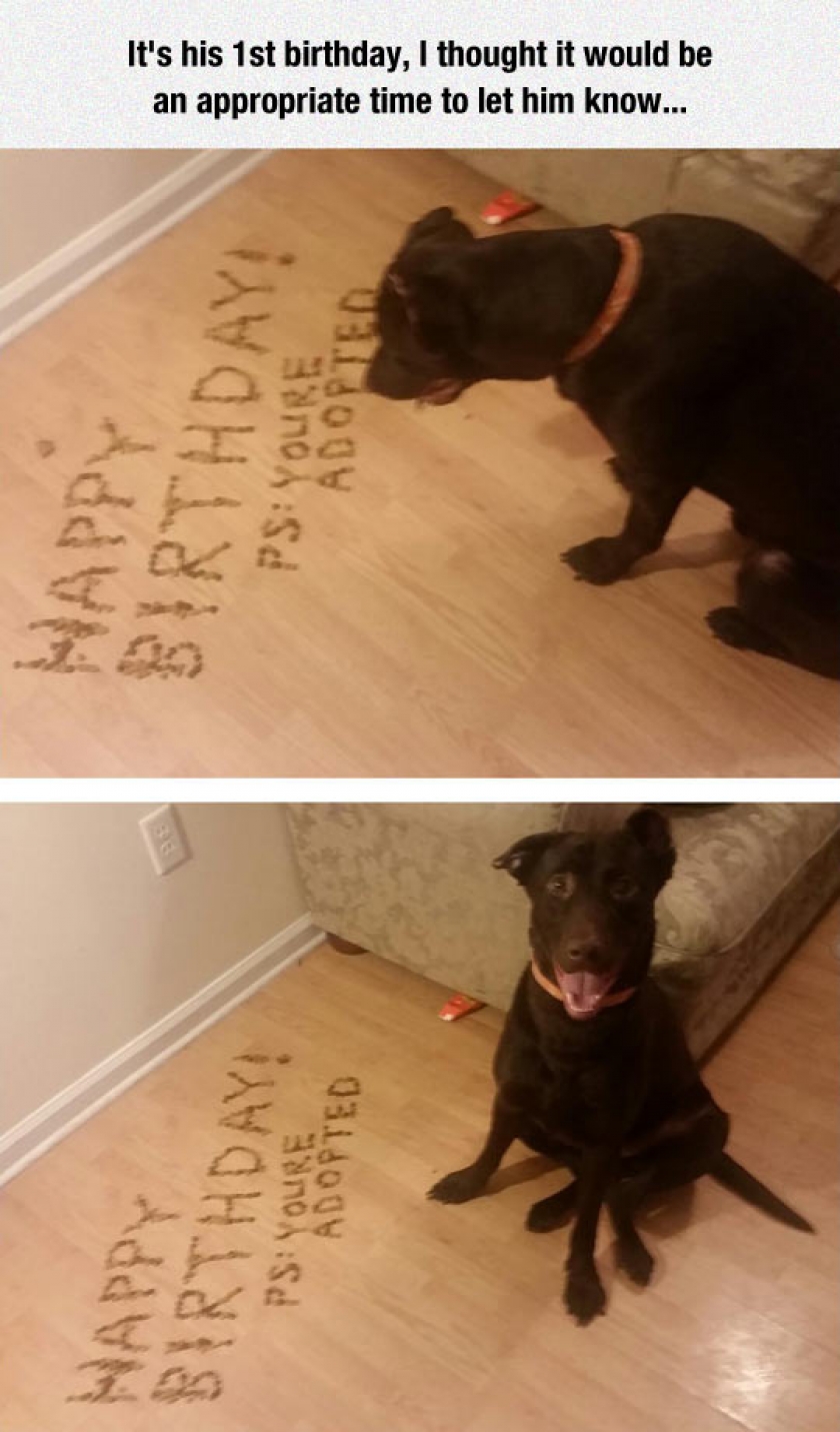 It Seems He Took It Pretty Well