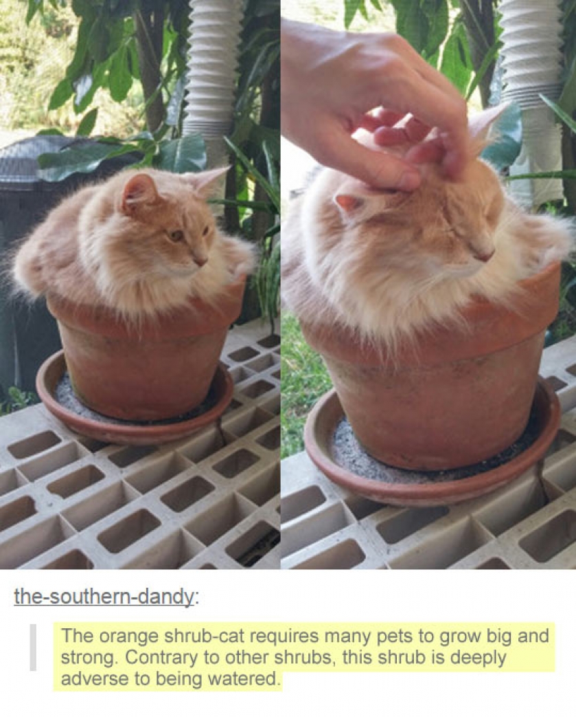 It’s Going To Blossom Soon