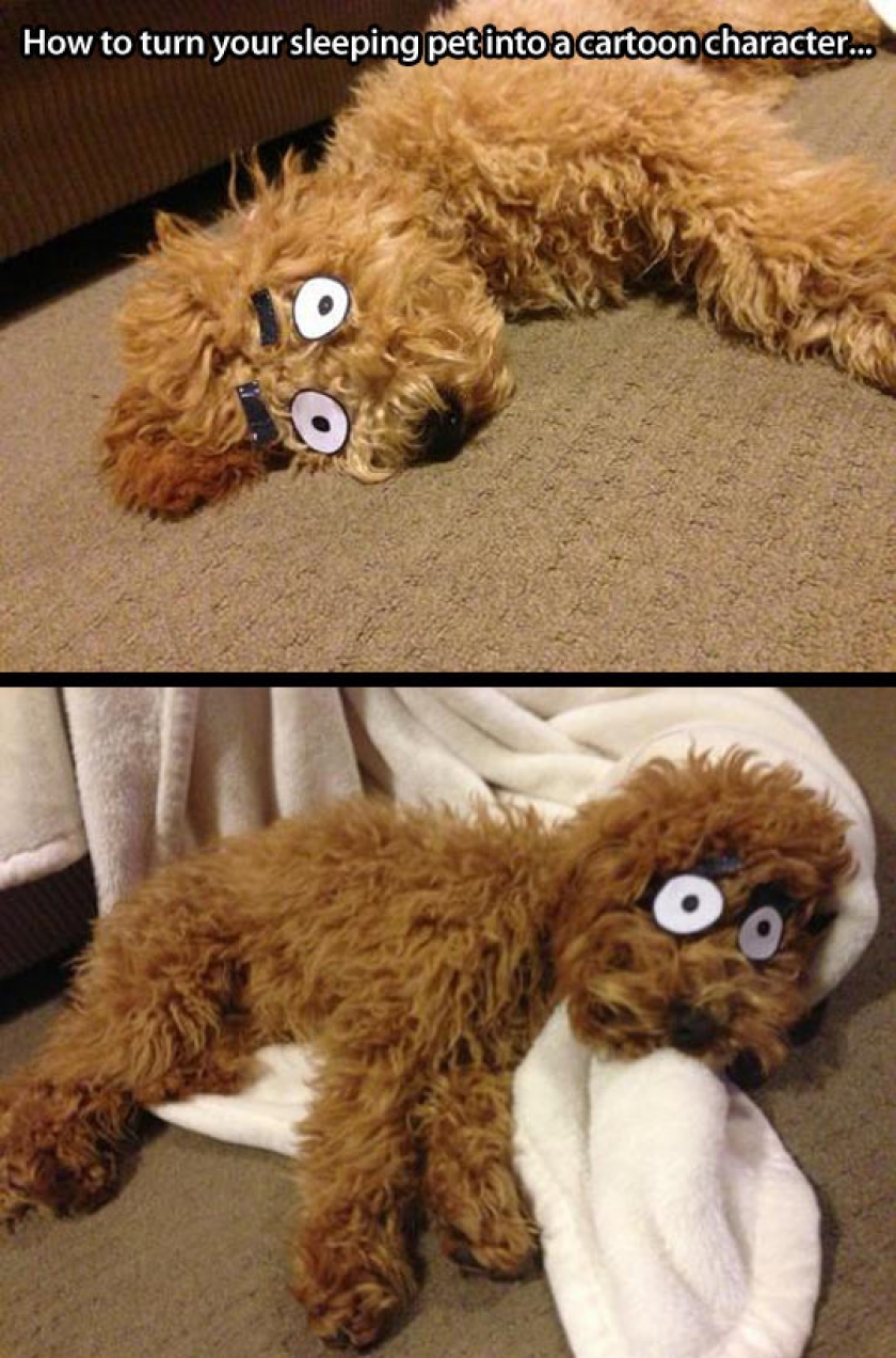Cartoon Character Dog