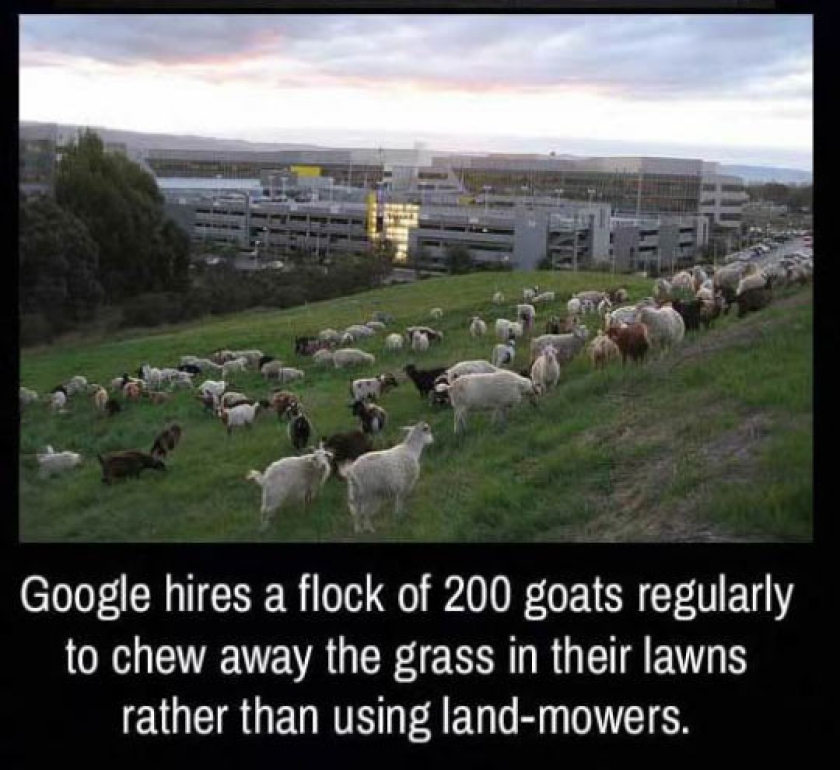 Google Is Doing It Very Right