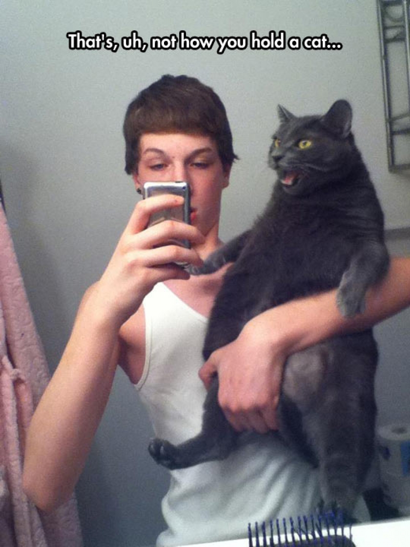 The Cat Is Not Sure How To Feel About This