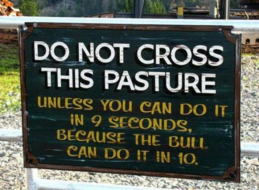 Sounds like a challenge to me... I accept