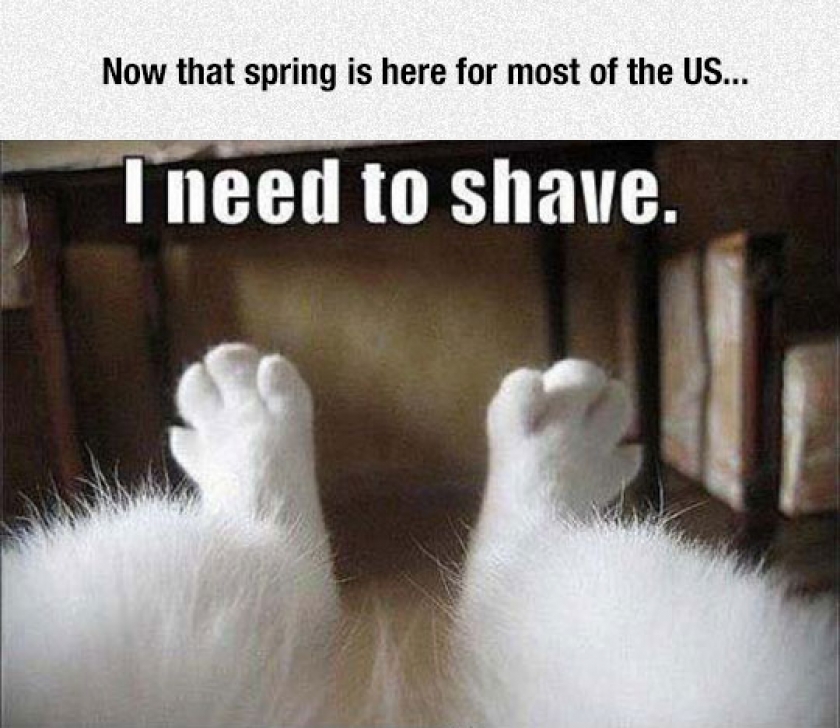 Now That Spring Is Here