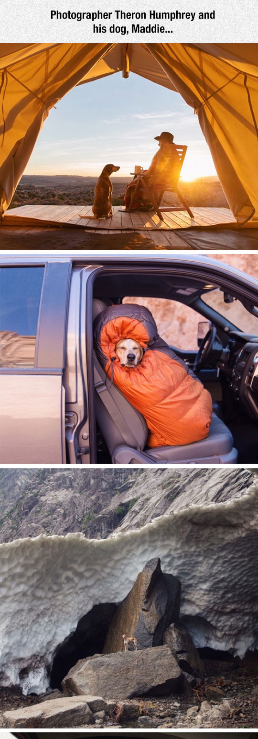 A Photographer And His Dog