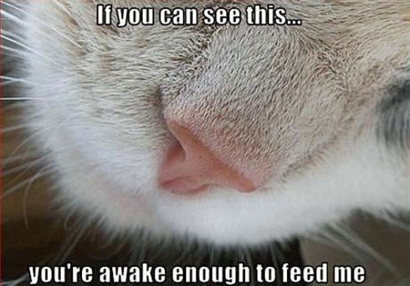 If You Can See This