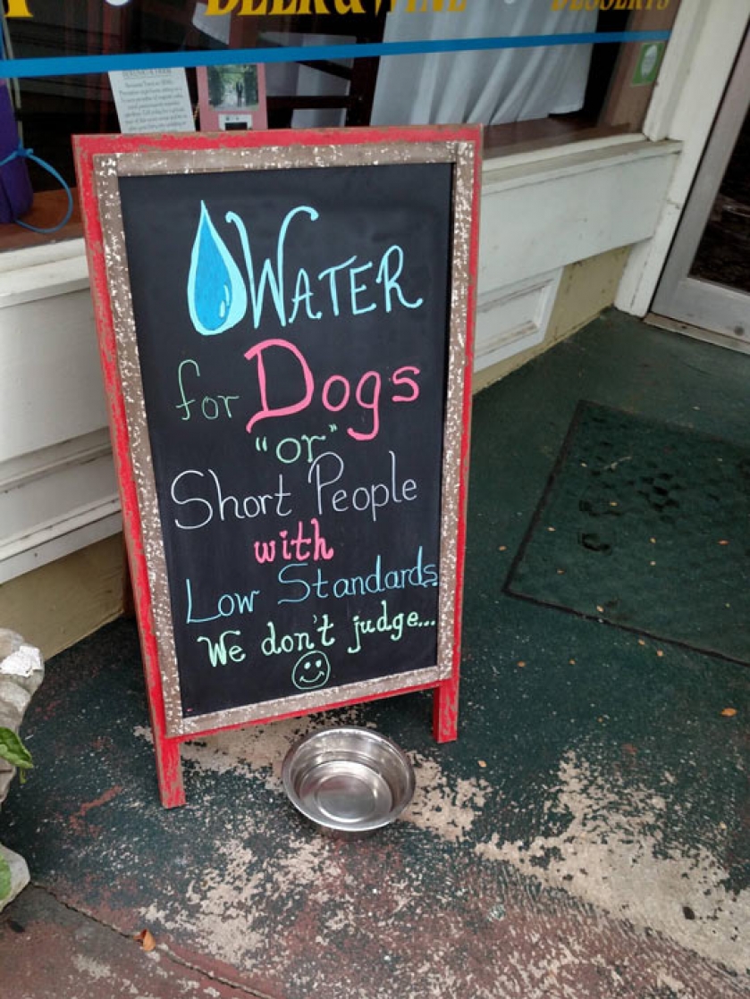 We Don’t Judge