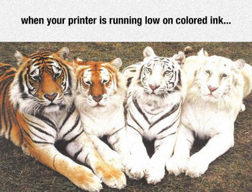Printer Running Low On Ink