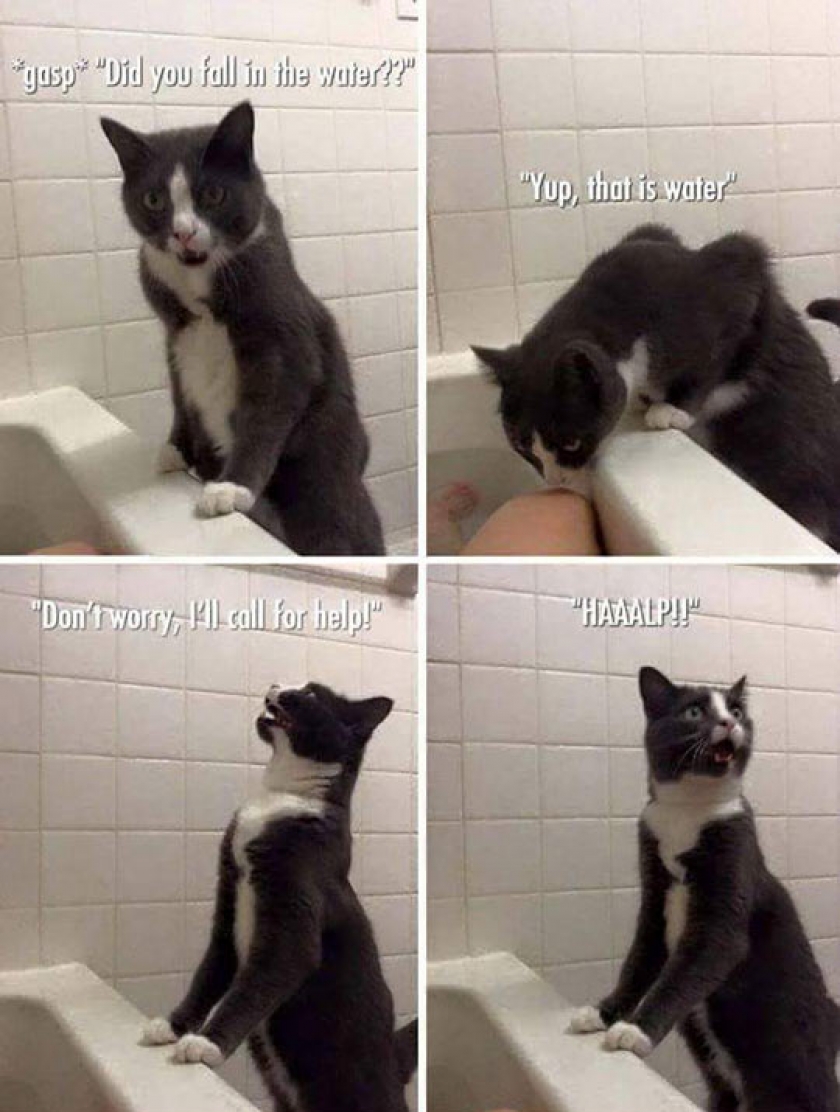 Wait There, I’ll Send Help
