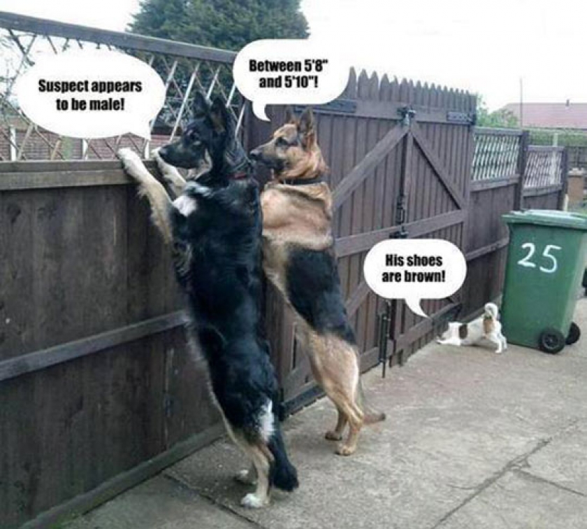 Short People Humor