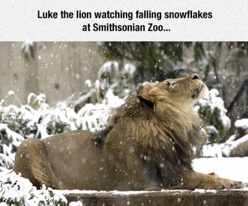 Beautiful And Captivating