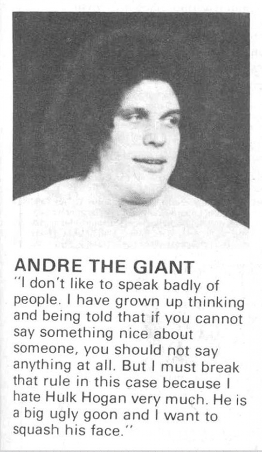 In Light Of The Recent Hulk Hogan Drama