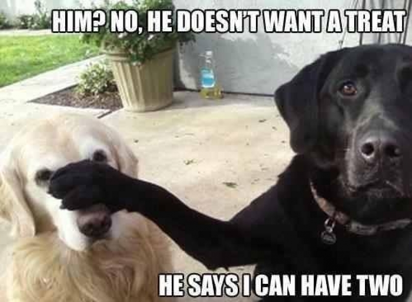                          He’s not hungry                      