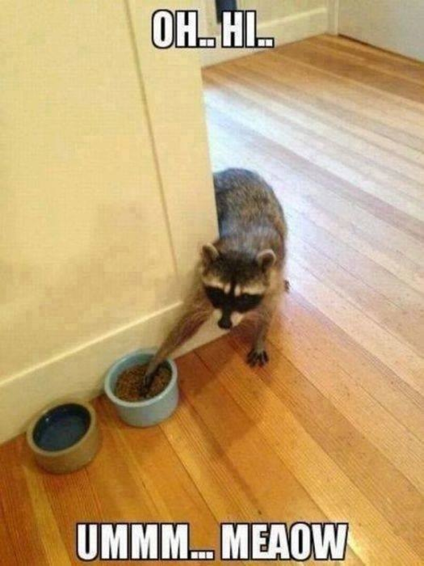                          Oh hi                      