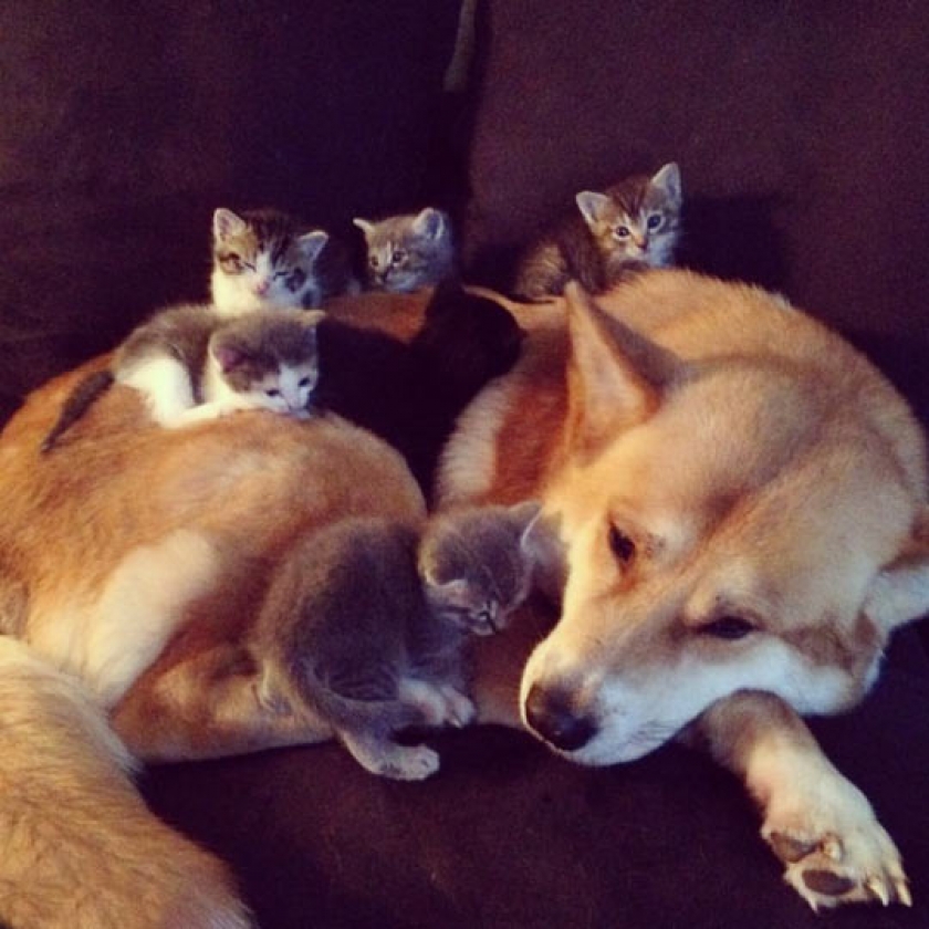 Different Kind Of Family