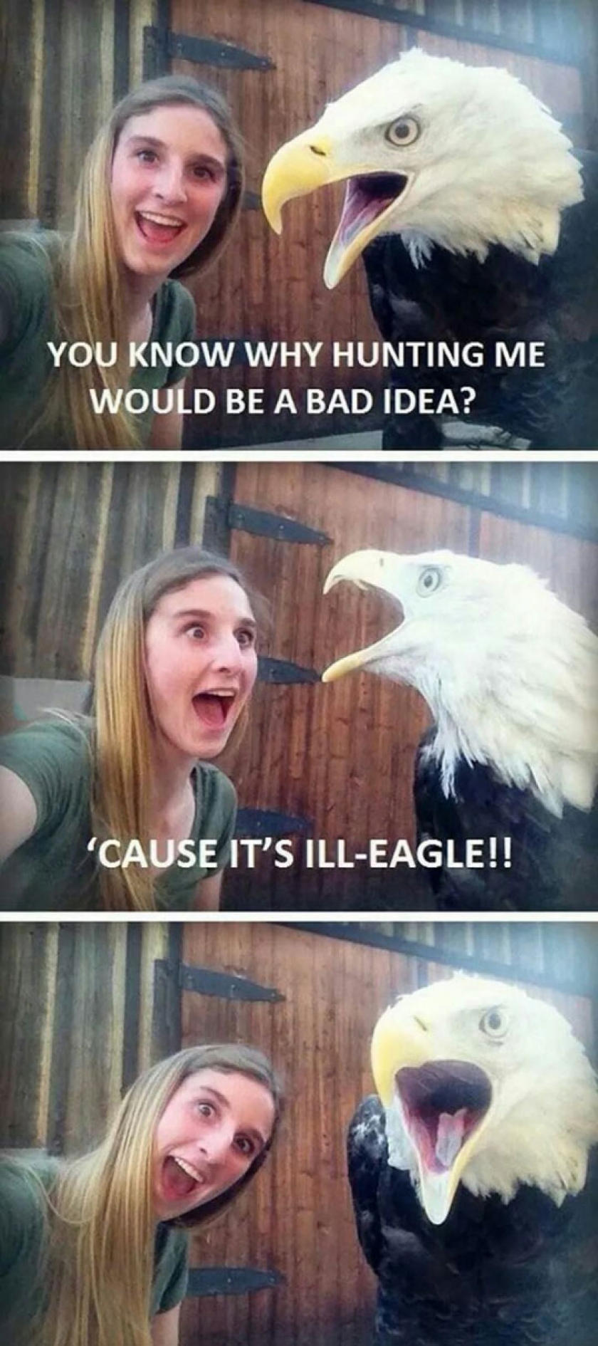 Hunting Eagles