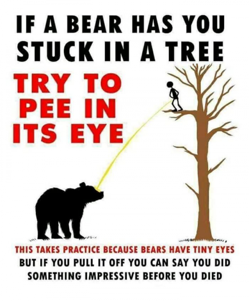 Very useful advice