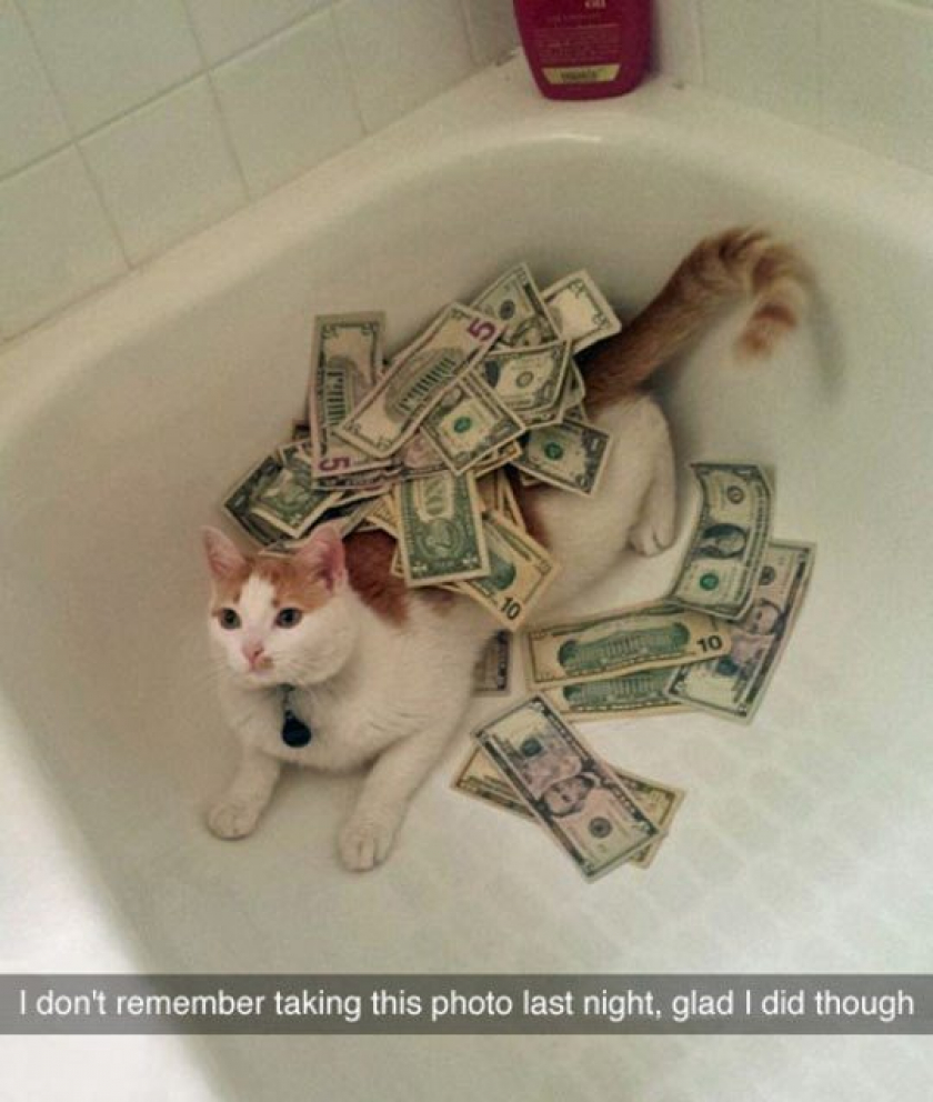 Rolling In The Dough