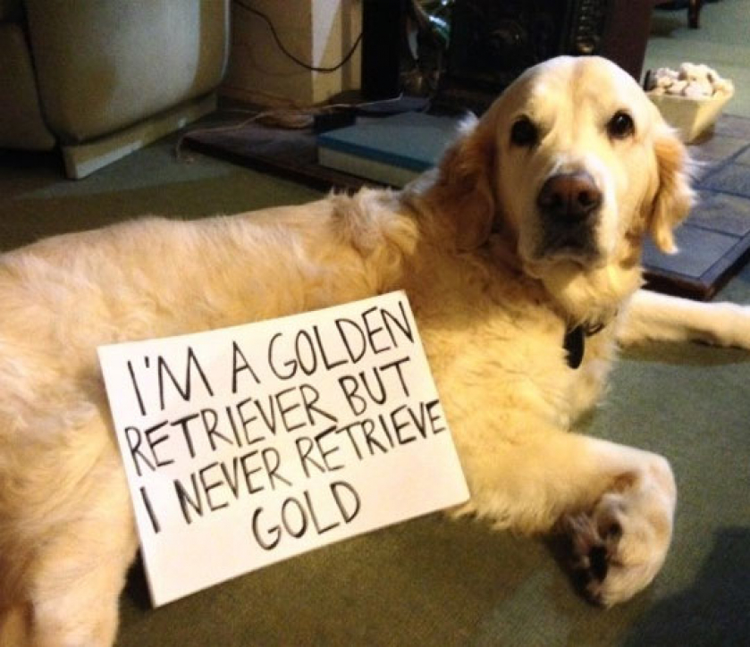 He Isn’t Retrieving