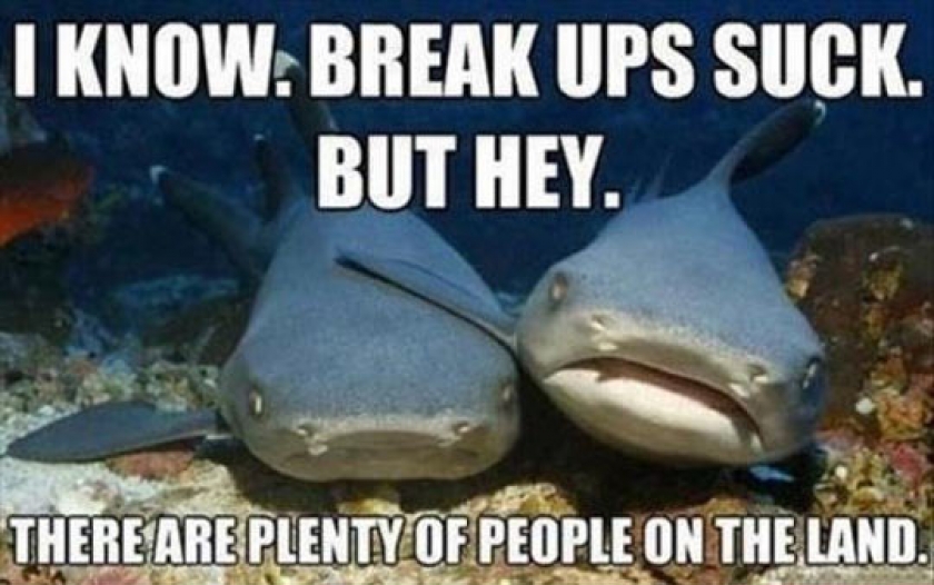 Good Breakup Advice