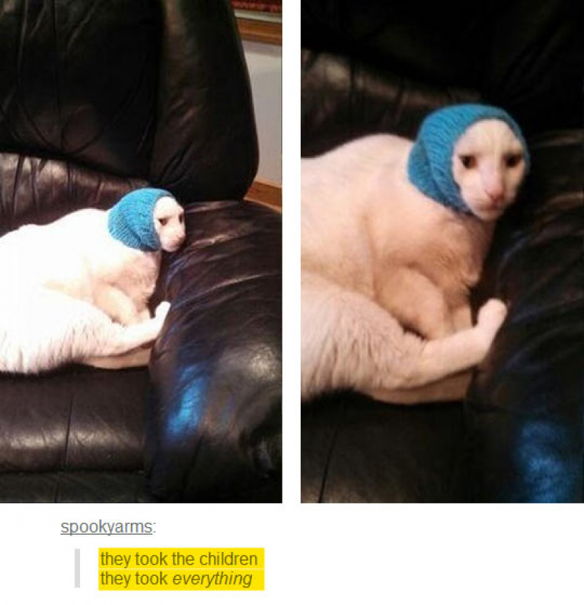 They Took The Children
