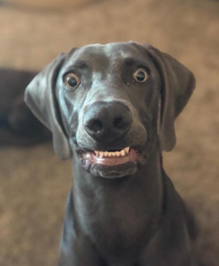 Every time we eat 😂