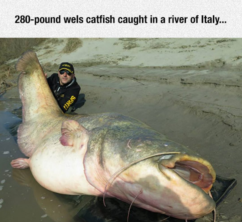 Fears Of Swimming In Rivers Reinforced