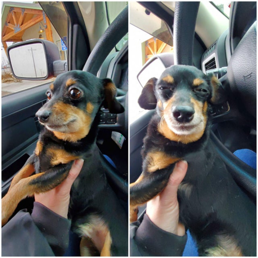 Before vet..... After the good meds
