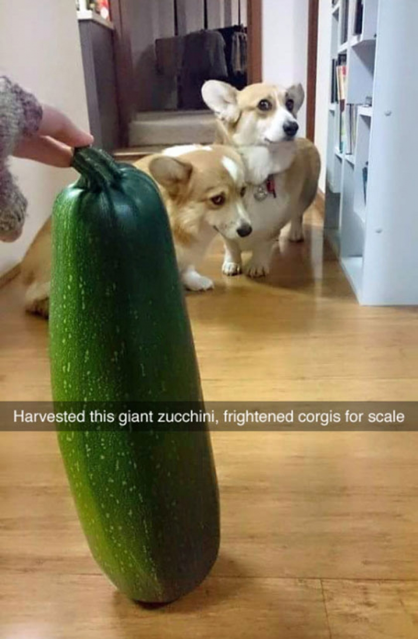 That’s Big