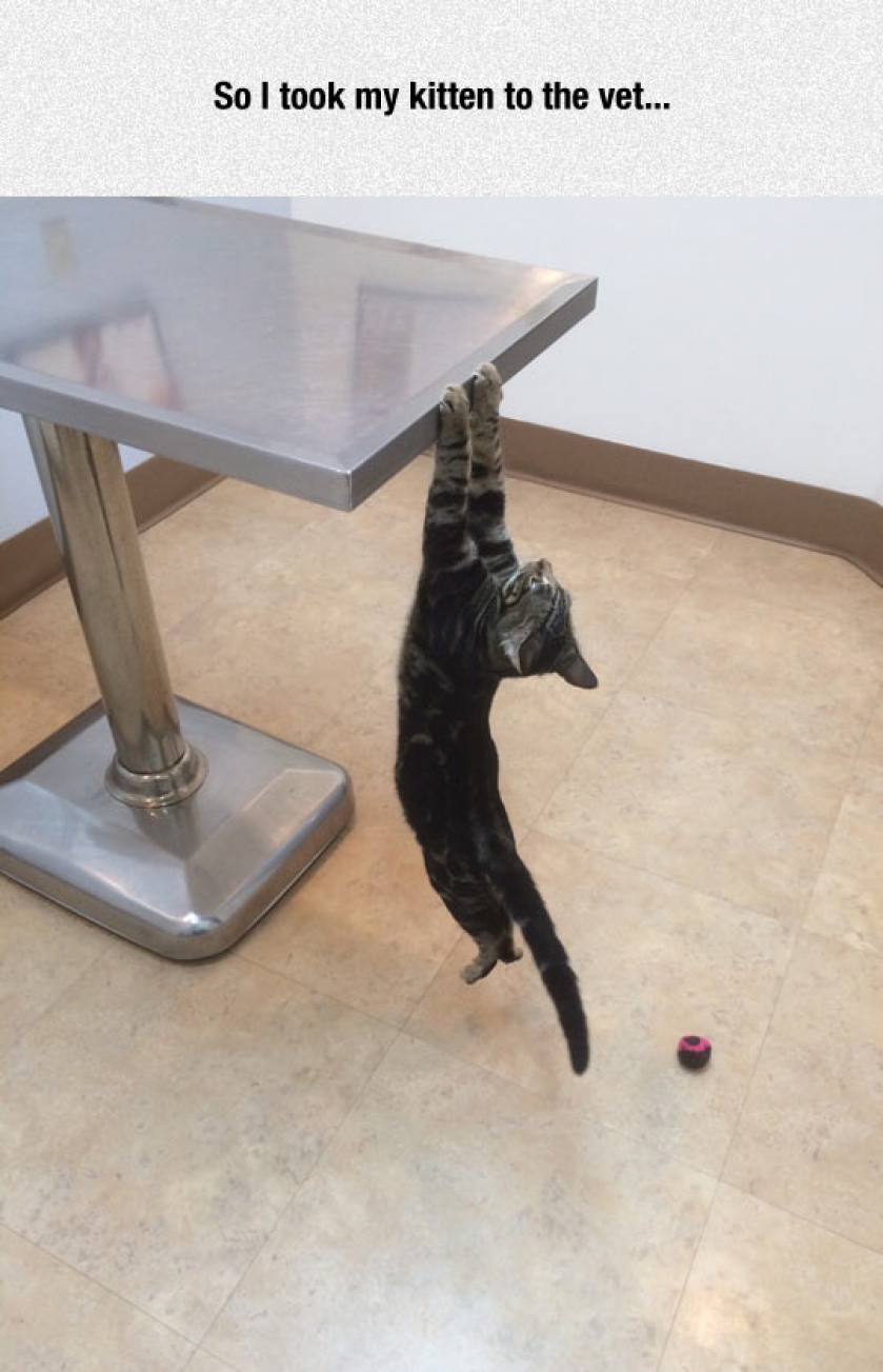 The Floor Is Water!