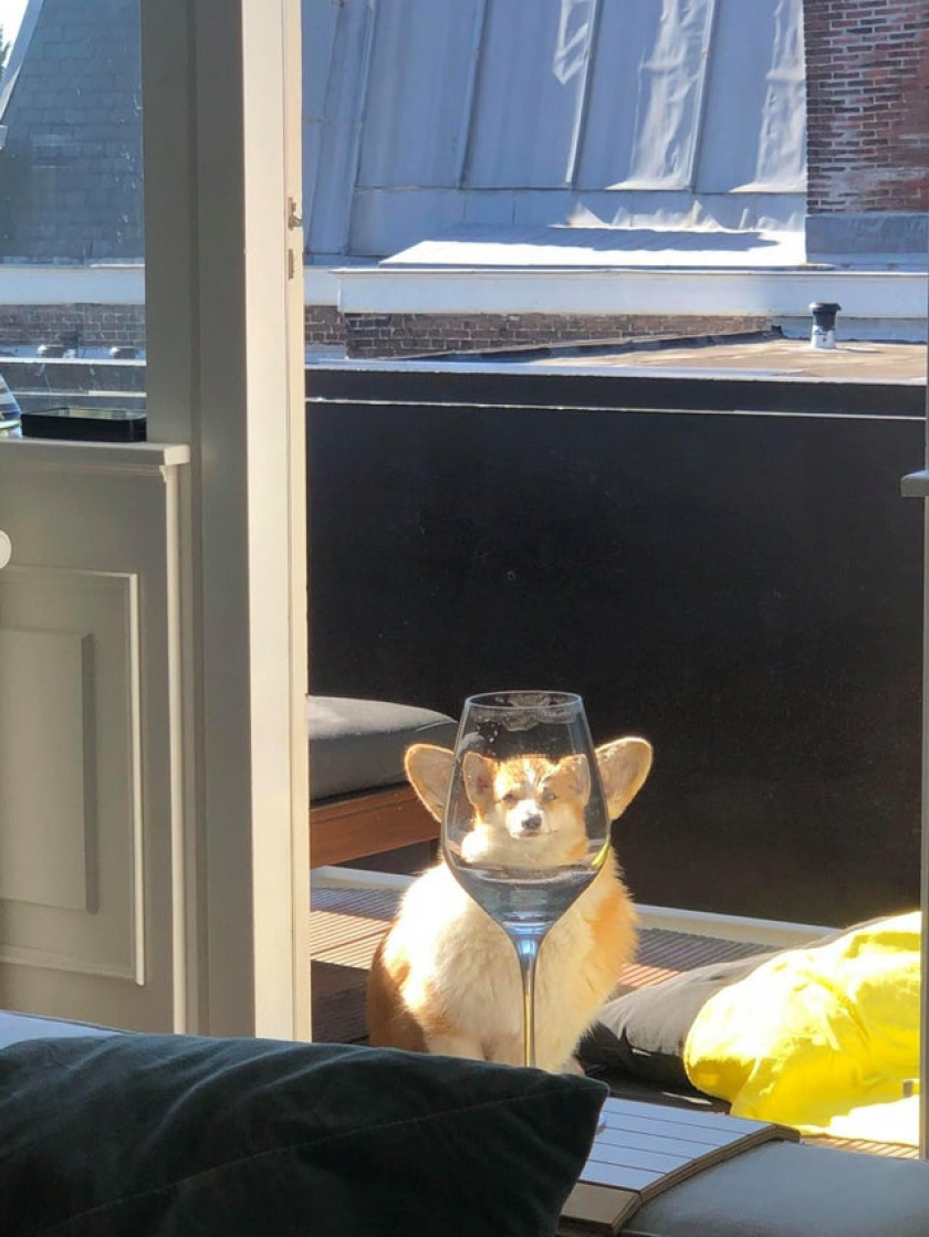 What at you laughing at?