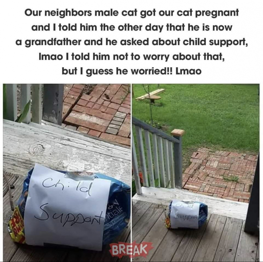 Child support