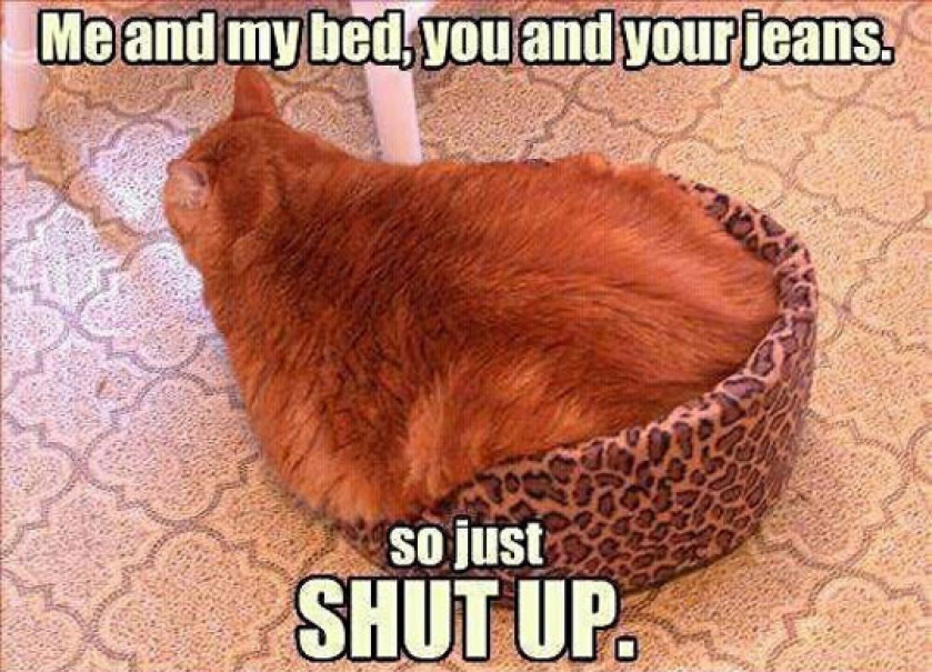 Don’t Judge Human