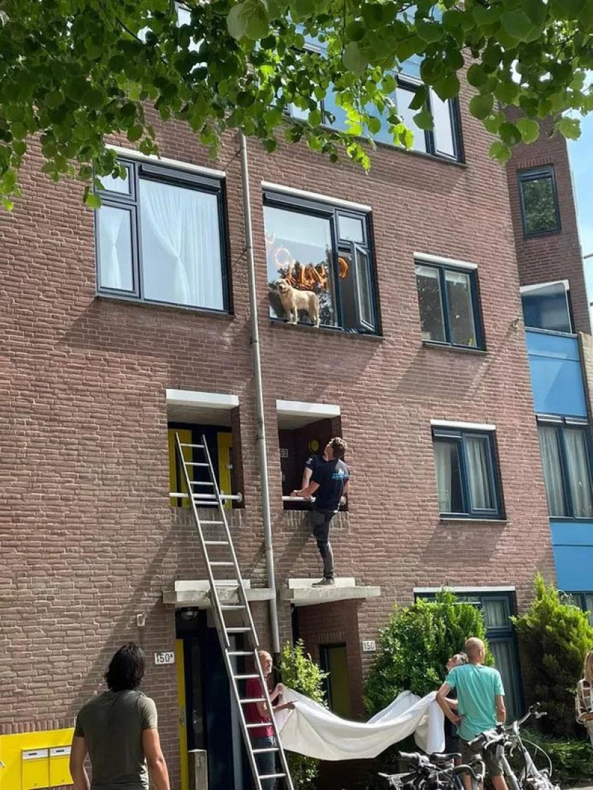 And then he realized, he is not a cat