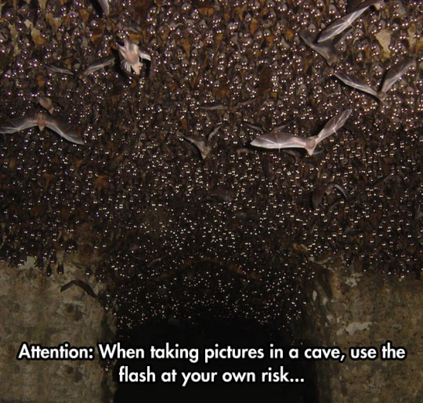 Think Twice Before Using Flash