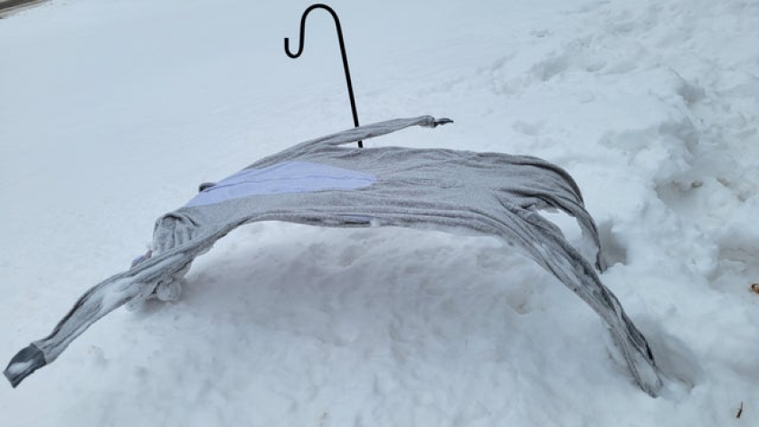 It warmed to 26 f and the pajamas are melting Matrix-style