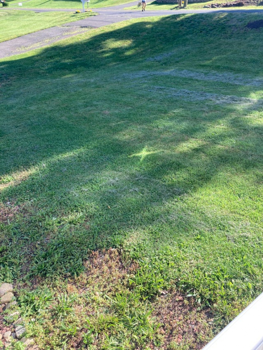 Everything I’ve ever learned is telling me to dig