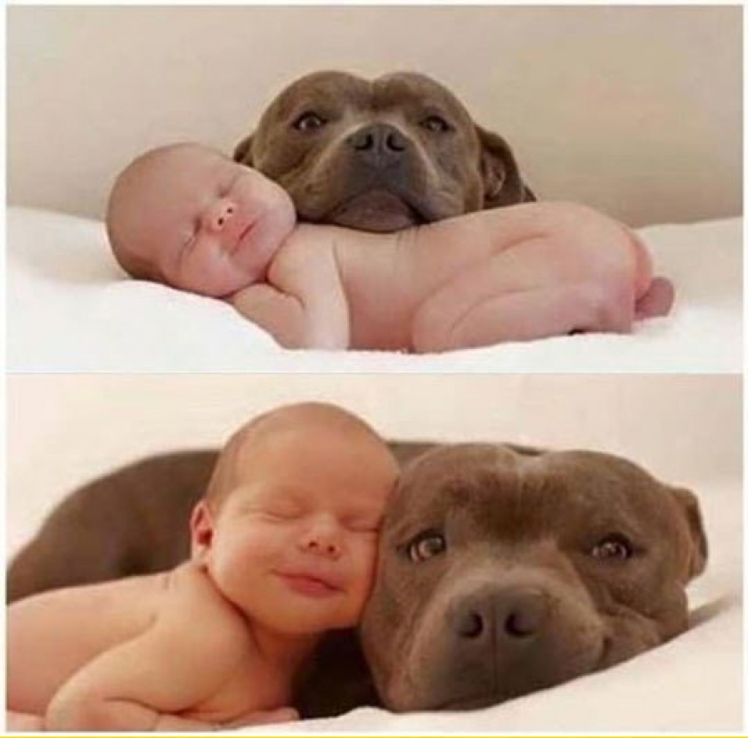 “I Didn’t Make Him…But He’s Mine.” – Dog