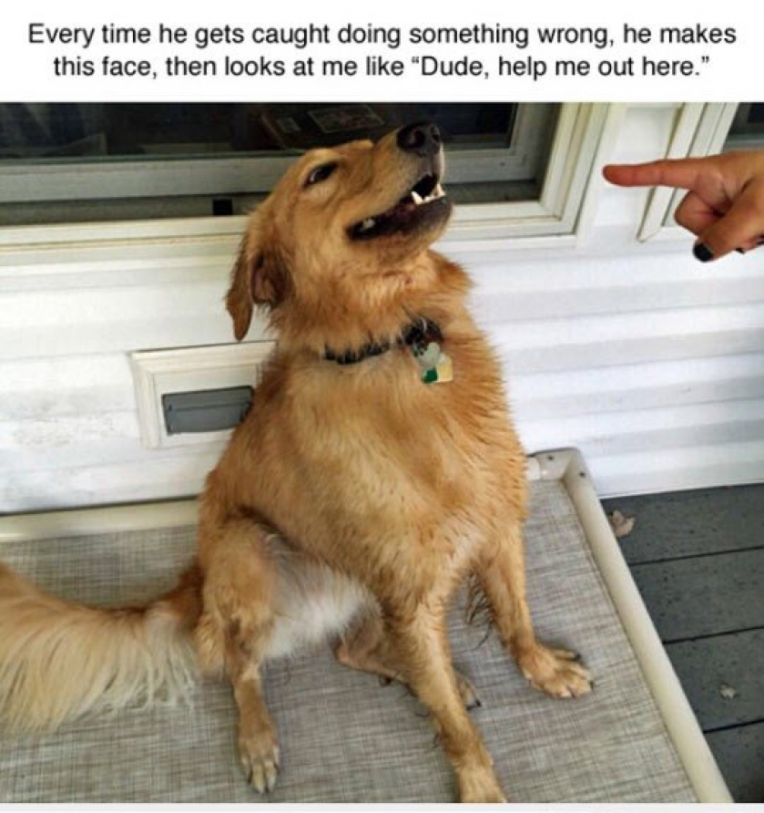 Every Time He Gets Caught