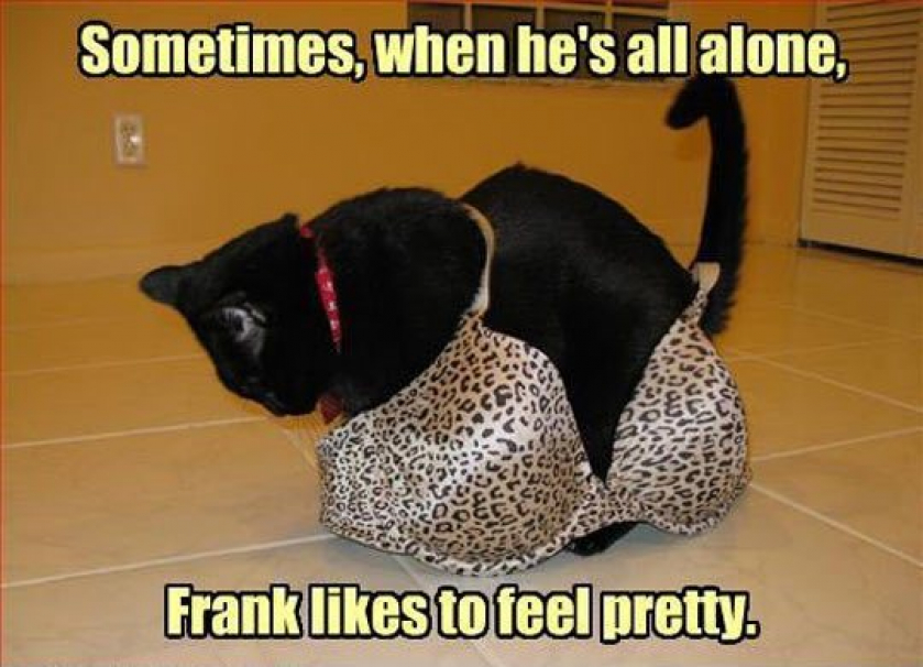 We’re Not Judging Frank
