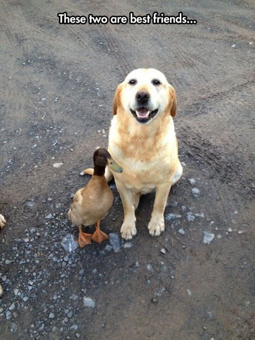 Very Unconventional Friendship