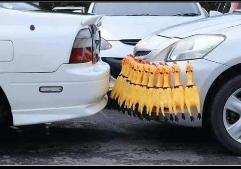 “The screamer” bumper protector