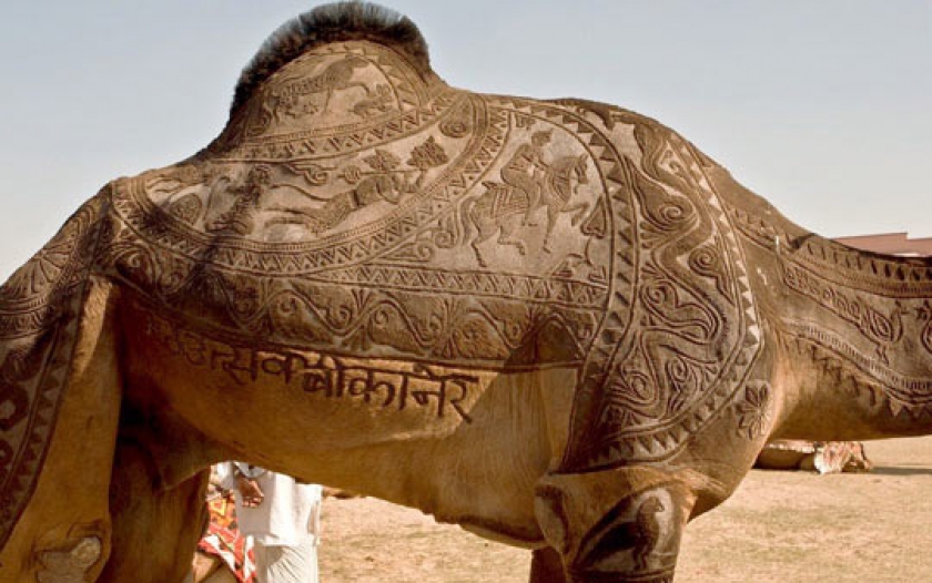 The Camel Who Went To The Barber